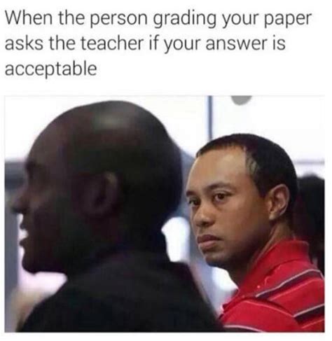15 Hilarious After Exam Memes That Perfectly Sum Up Your Post.